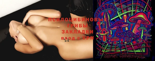 крисы Абдулино
