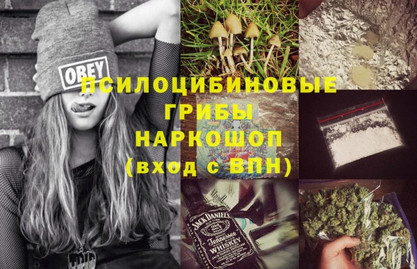 а пвп мука Алзамай