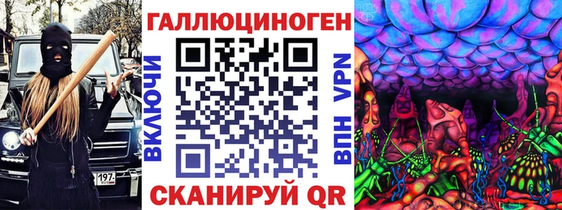 Псилоцибиновые грибы Cubensis  Ачхой-Мартан 